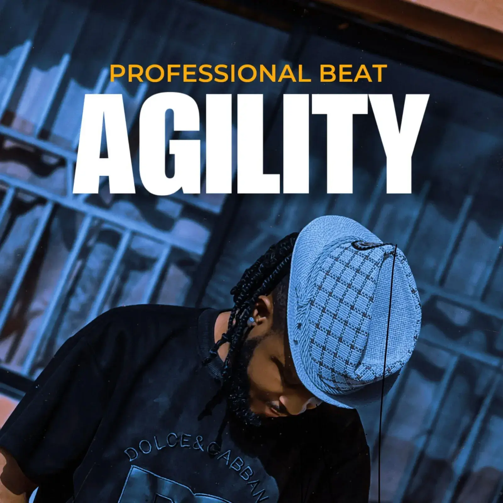 Professional Beat – Agility Cover Art